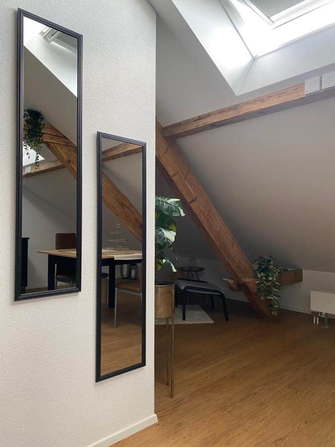 Eine Schoene Wohnung An Der Birs Βασιλεία Εξωτερικό φωτογραφία