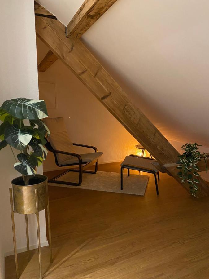 Eine Schoene Wohnung An Der Birs Βασιλεία Εξωτερικό φωτογραφία