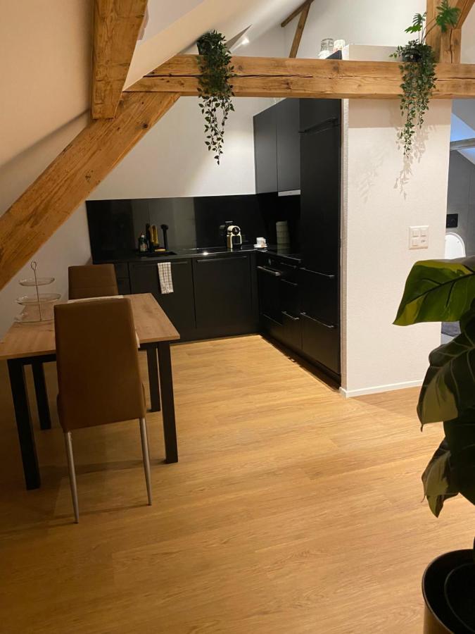Eine Schoene Wohnung An Der Birs Βασιλεία Εξωτερικό φωτογραφία